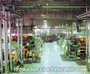 Production Line Panoramic View